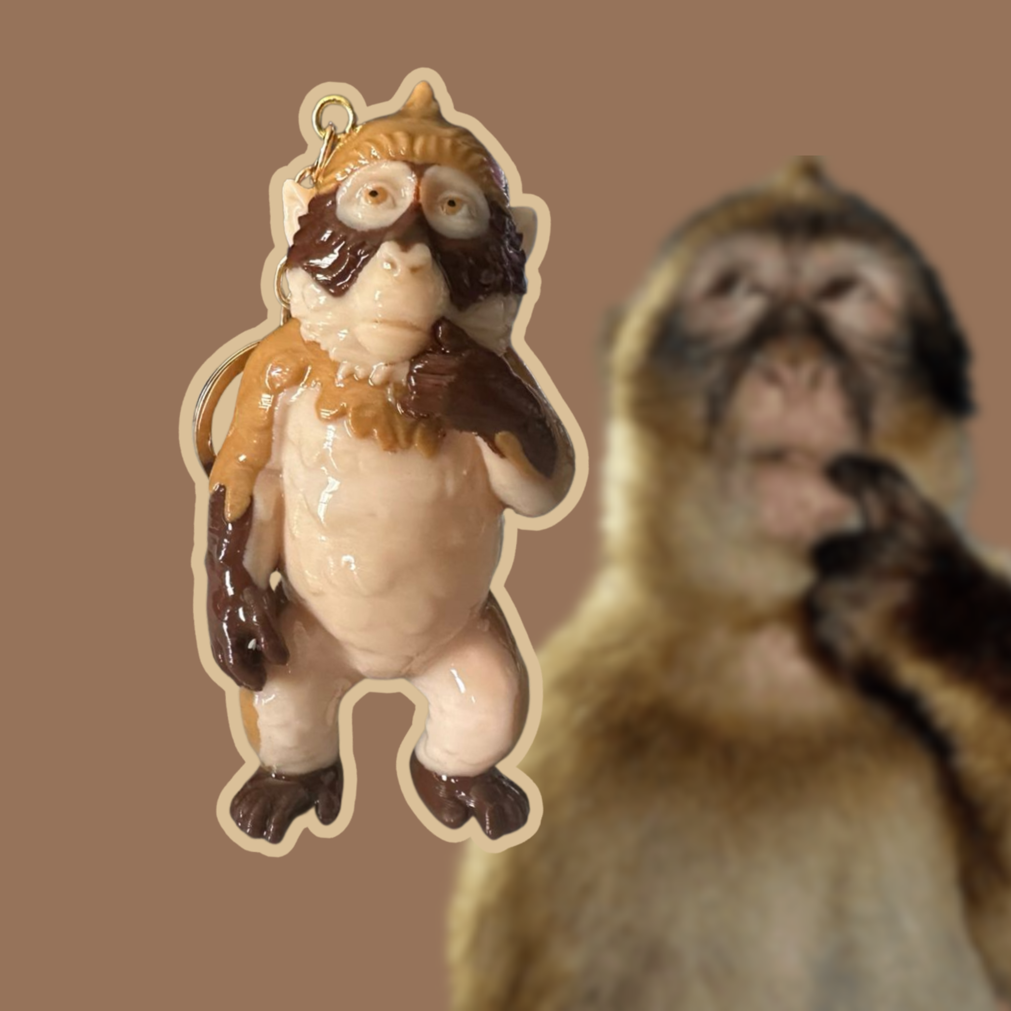 pack 6 sin repetidos serie 1